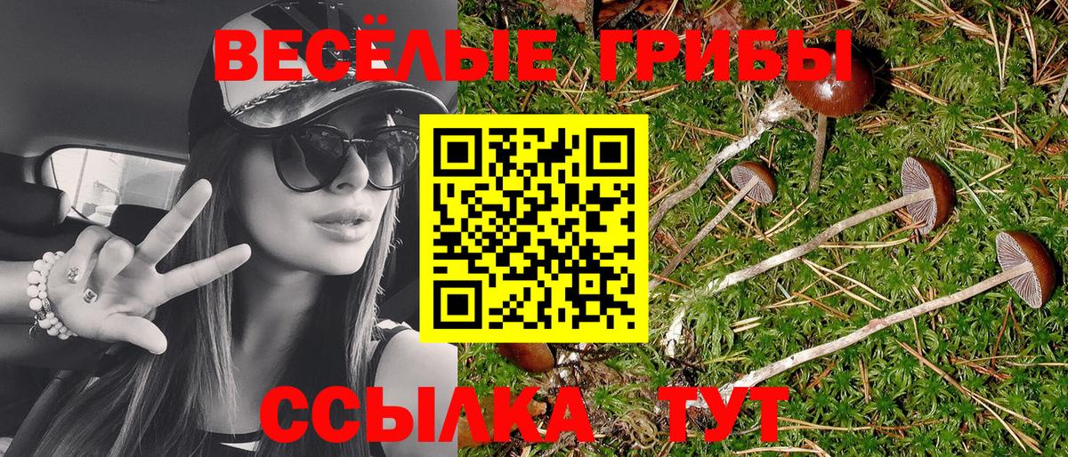 Псилоцибиновые грибы Psilocybine cubensis  купить   Карасук  Вход с VPN 