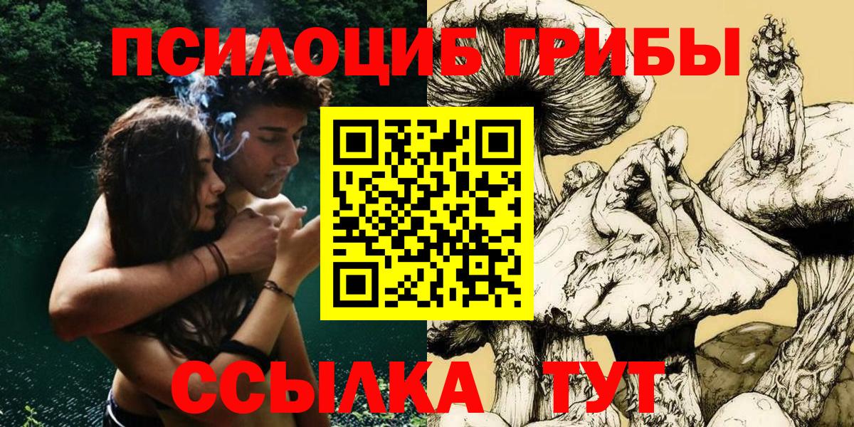 Псилоцибиновые грибы Psilocybine cubensis Карасук